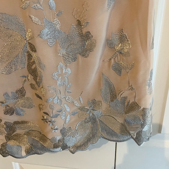 Dress the Population Paige Nude Sheath Dress Silver Embroidery - Picture 8 of 11